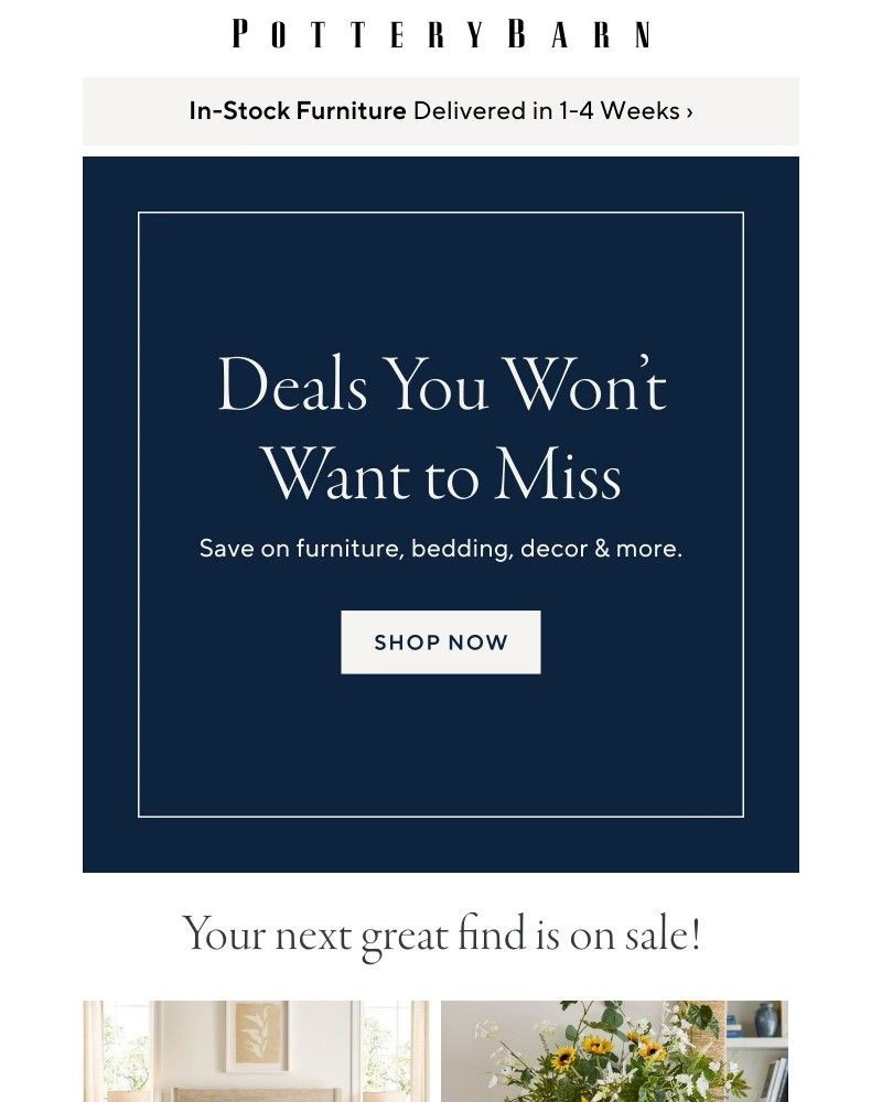Screenshot of email with subject /media/emails/deals-you-wont-want-to-miss-00dff0-cropped-d63f4a4b.jpg
