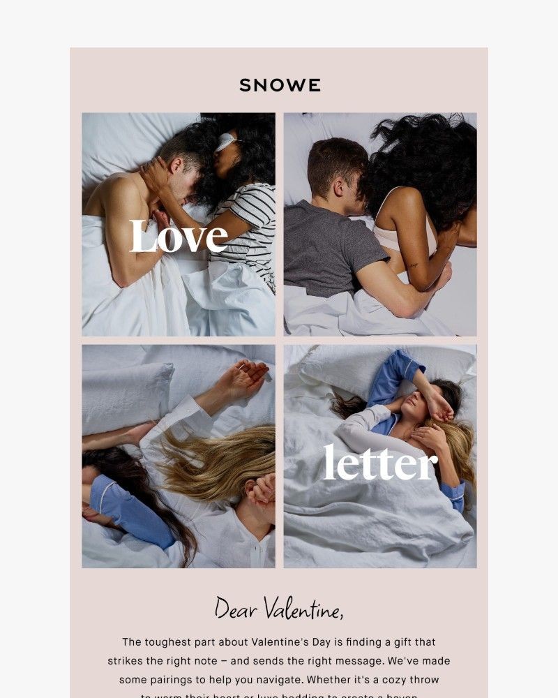 Screenshot of email sent to a Snowe Newsletter subscriber