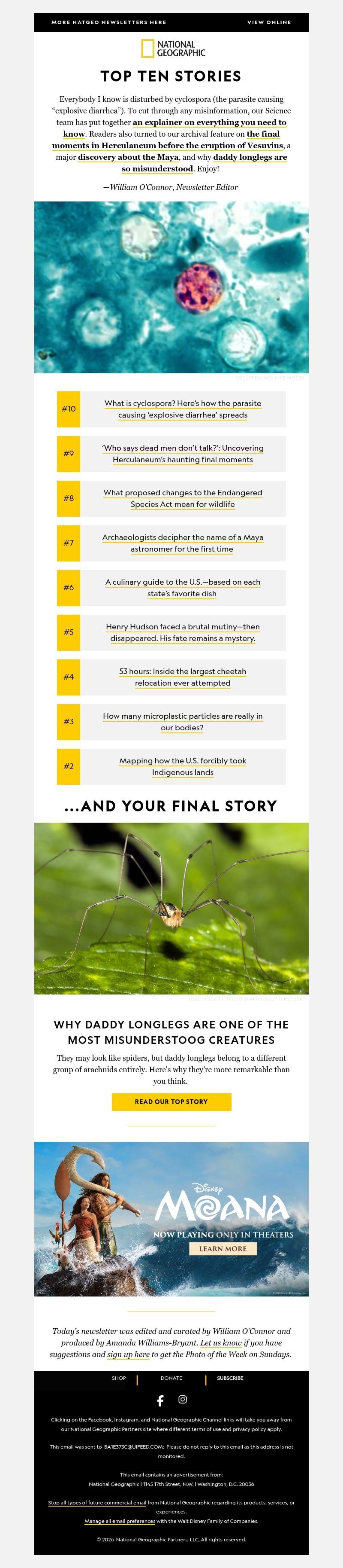Screenshot of email with subject /media/emails/dec82a08-49bf-44c7-86f3-ca0acbfd089e.jpg