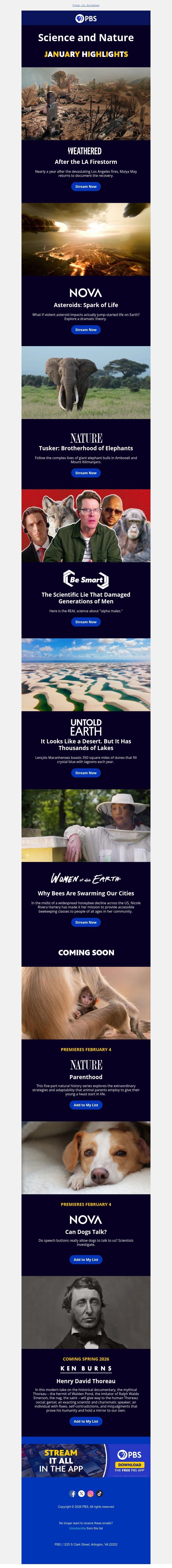 Screenshot of email with subject /media/emails/decb98dc-0b80-49e3-9066-bcae2a1a919e.jpg