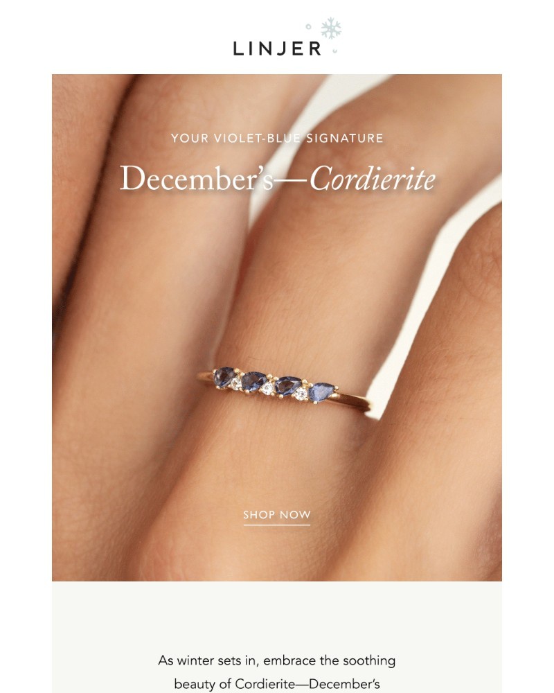 Screenshot of email sent to a Linjer Newsletter subscriber