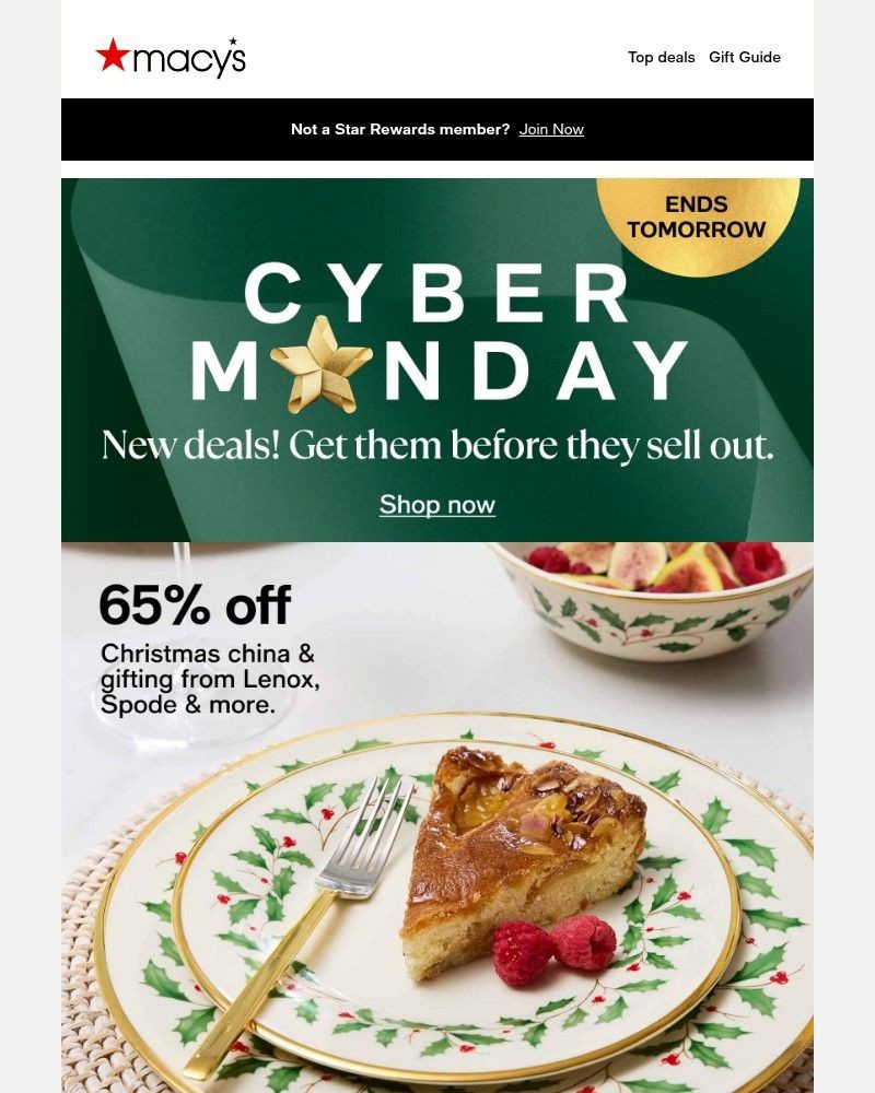 Screenshot of email sent to a Macy's Cart abandoner