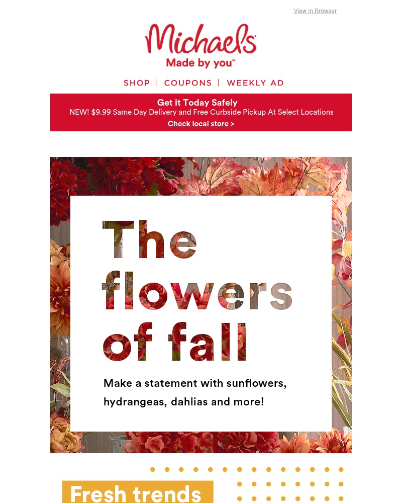 Screenshot of email with subject /media/emails/decor-galore-were-giving-you-a-sneak-peek-at-our-fall-favorites-1ab843-cropped-64a4bbc2.jpg