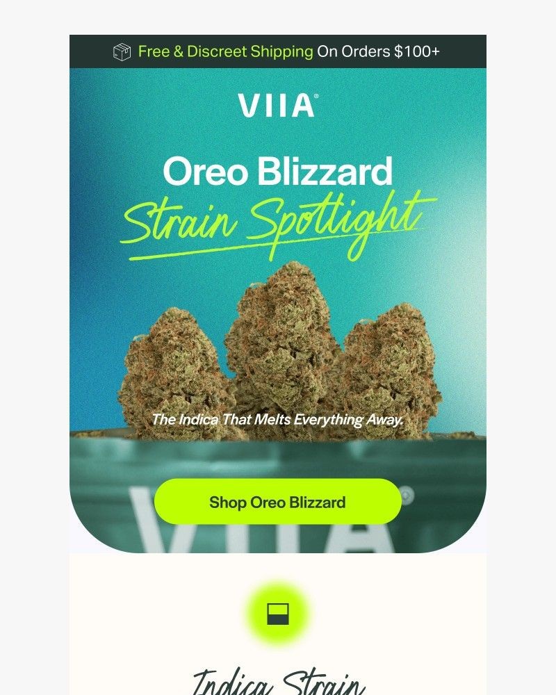 Screenshot of email with subject /media/emails/deep-calm-heavy-body-quiet-mind-4da31c-cropped-ae4658ae.jpg