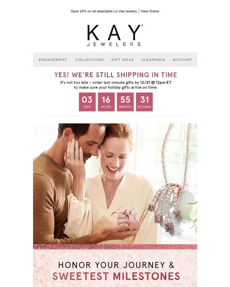 Screenshot of email with subject /media/emails/delicious-gifts-and-savings-await-with-our-le-vian-sale-e9d5bc-cropped-de555f63.jpg
