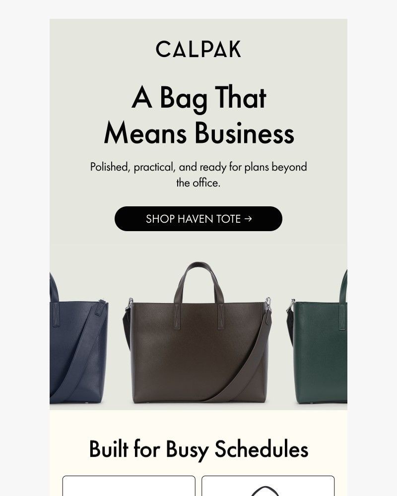 Screenshot of email sent to a Calpak Newsletter subscriber