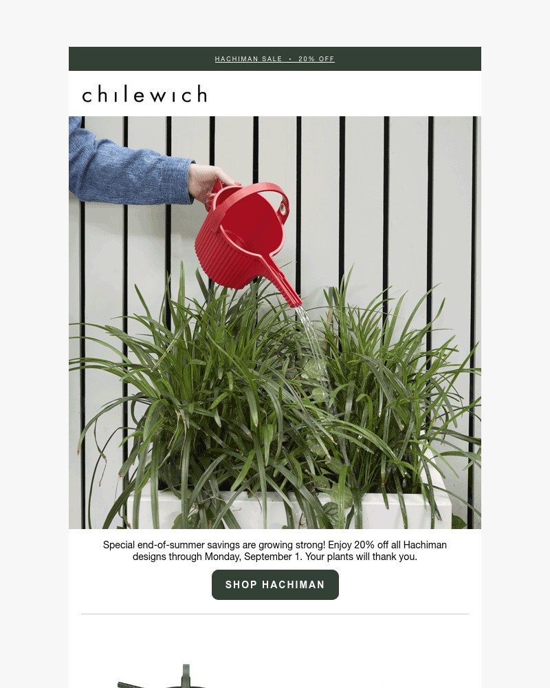 Screenshot of email with subject /media/emails/designed-to-delight-the-hachiman-sale-916a31-cropped-9fe3aa29.jpg