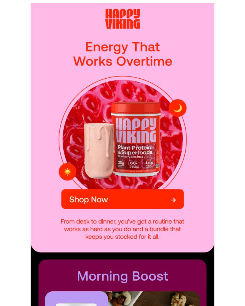 Screenshot of email sent to a Happy Viking Newsletter subscriber