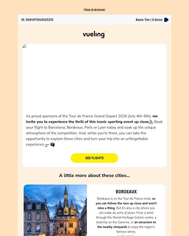 Screenshot of email sent to a Vueling Registered user
