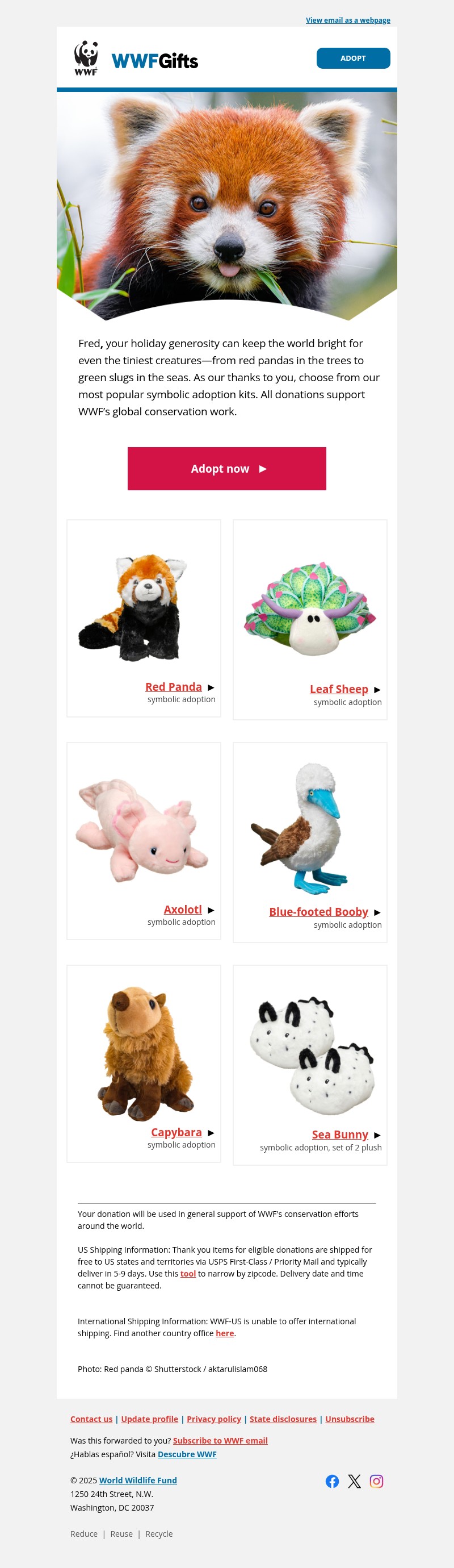 Screenshot of email with subject /media/emails/df2324ad-124d-4240-8f37-e9db17b75f59.jpg