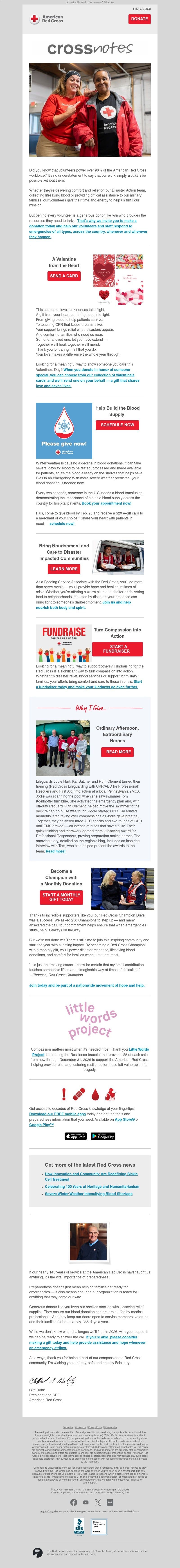 Screenshot of email with subject /media/emails/df3c2cd4-f769-46d6-b52b-4a85ee796144.jpg