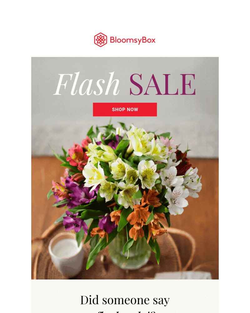Screenshot of email with subject /media/emails/did-someone-say-flash-sale-6f0971-cropped-78576853.jpg