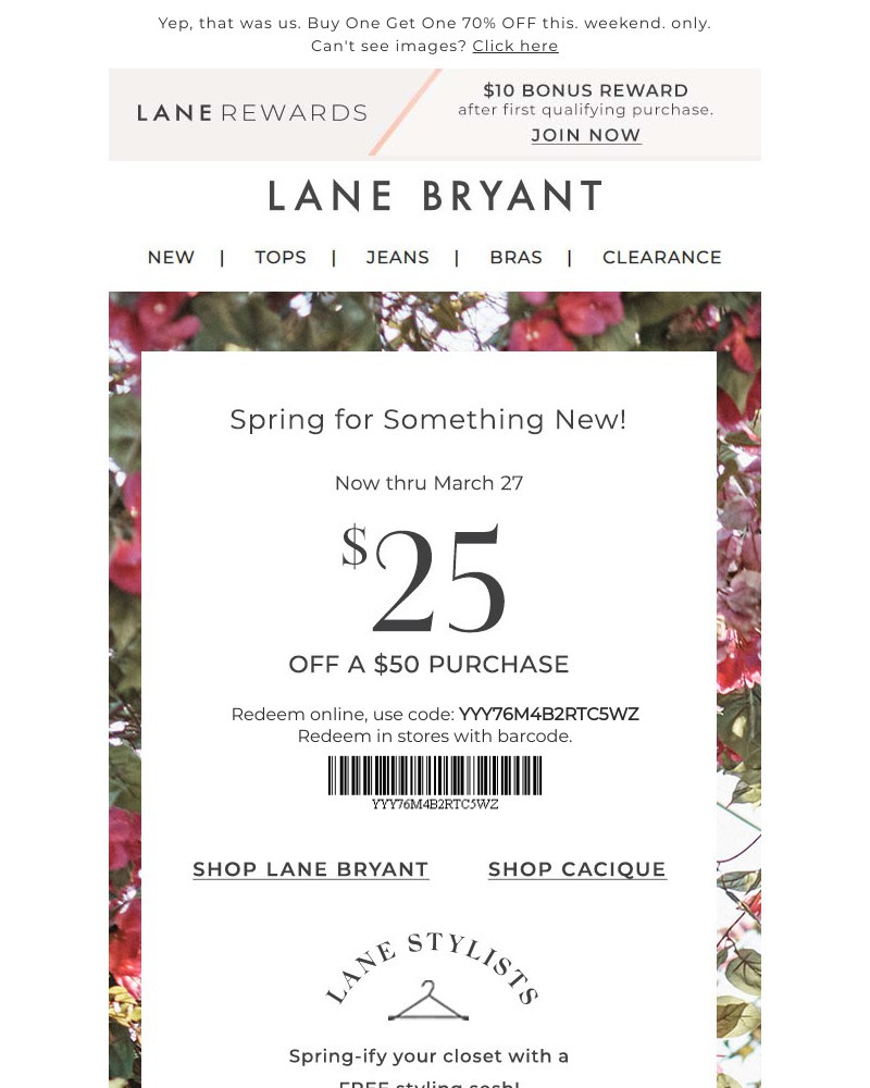 Screenshot of email with subject /media/emails/did-someone-say-stock-up-sale-507c72-cropped-4bcd0146.jpg