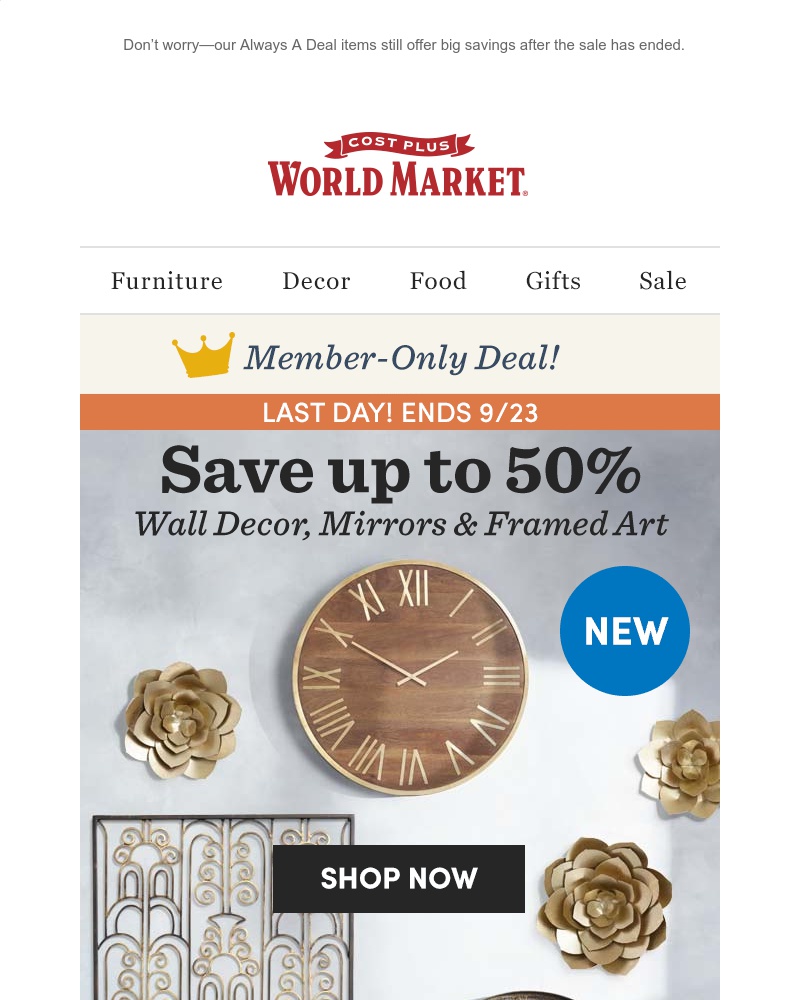 Screenshot of email with subject /media/emails/did-you-get-the-sale-priced-decor-you-wanted-its-the-last-day-cropped-ff58286a.jpg
