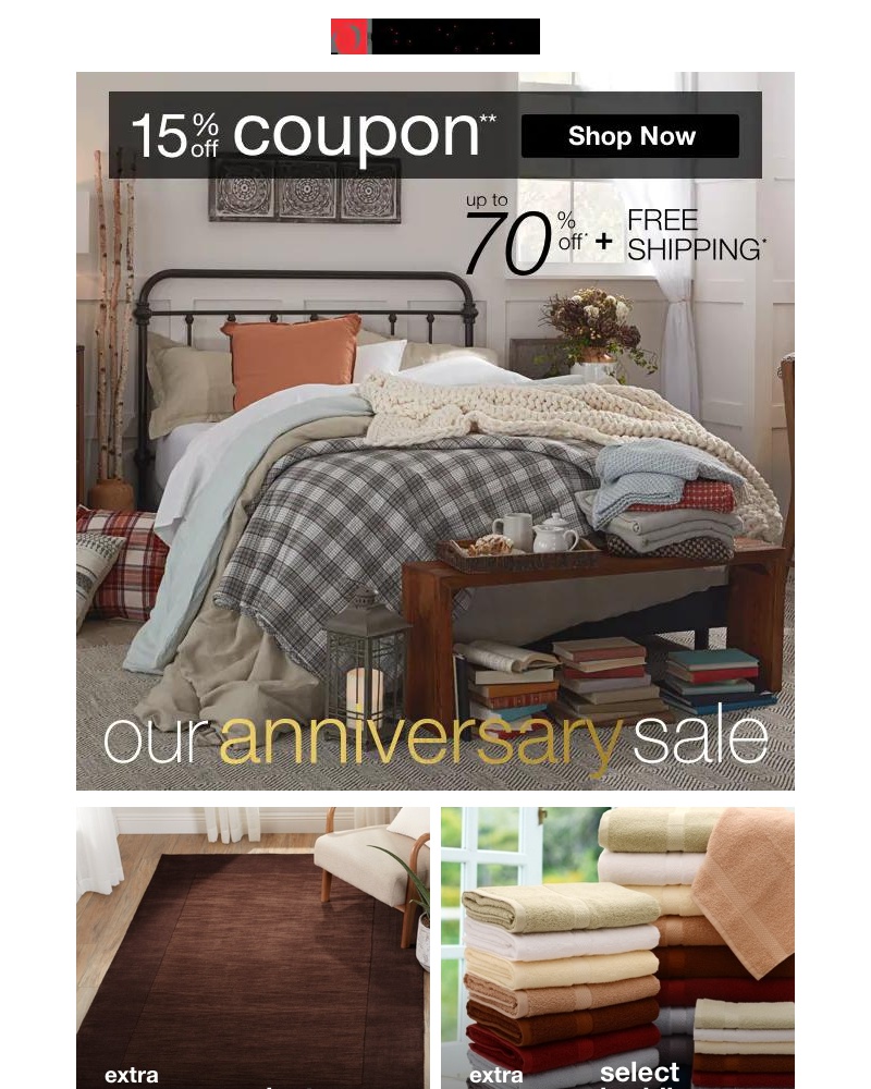 Screenshot of email with subject /media/emails/did-you-hear-the-anniversary-sale-is-going-now-dont-wait-cropped-a0bef893.jpg