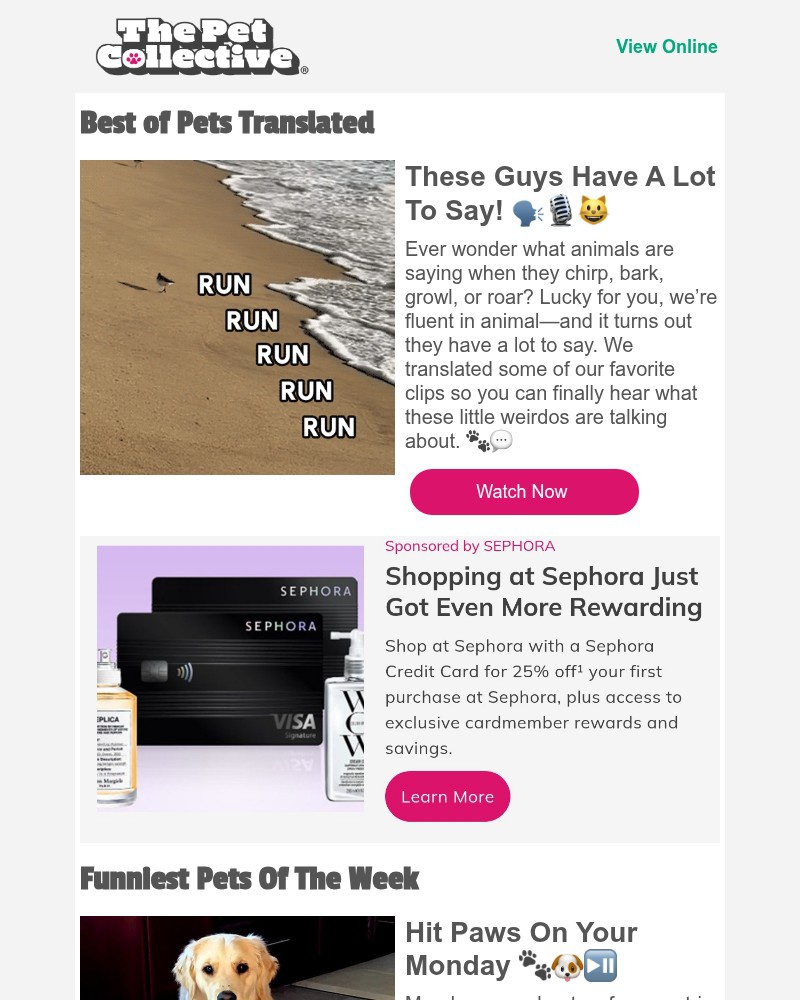 Screenshot of email with subject /media/emails/did-you-hear-what-your-pet-said-about-you-baaeb7-cropped-8296e8ea.jpg