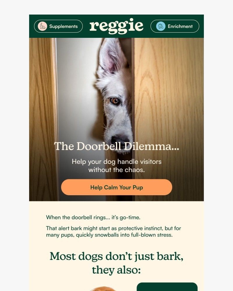 Screenshot of email with subject /media/emails/ding-dong-your-dog-has-entered-stress-mode-92eeb6-cropped-7436263f.jpg