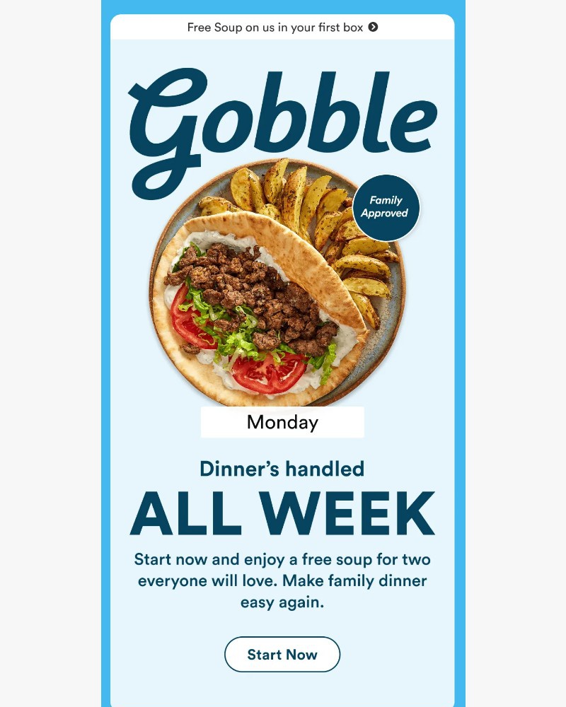 Screenshot of email sent to a Gobble Cart abandoner