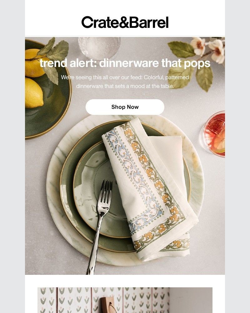 Screenshot of email with subject /media/emails/dinnerware-designed-to-wow-starting-at-250-ee1860-cropped-342514a2.jpg