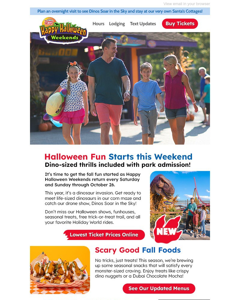 Screenshot of email sent to a Holiday World Newsletter subscriber