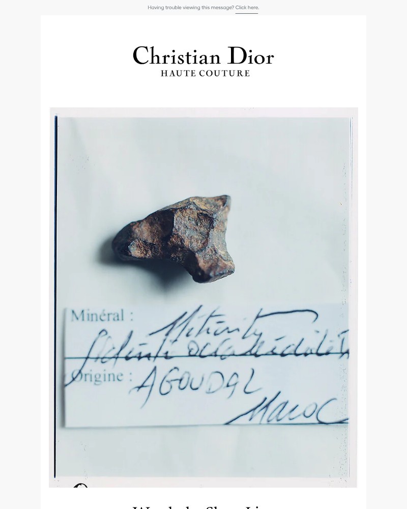 Screenshot of email sent to a Dior Newsletter subscriber