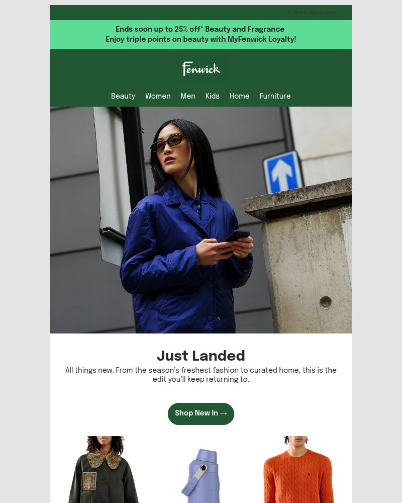 Screenshot of email with subject /media/emails/discover-1000-new-lines-across-200-brands-31cf2a-cropped-d1a9778d.jpg