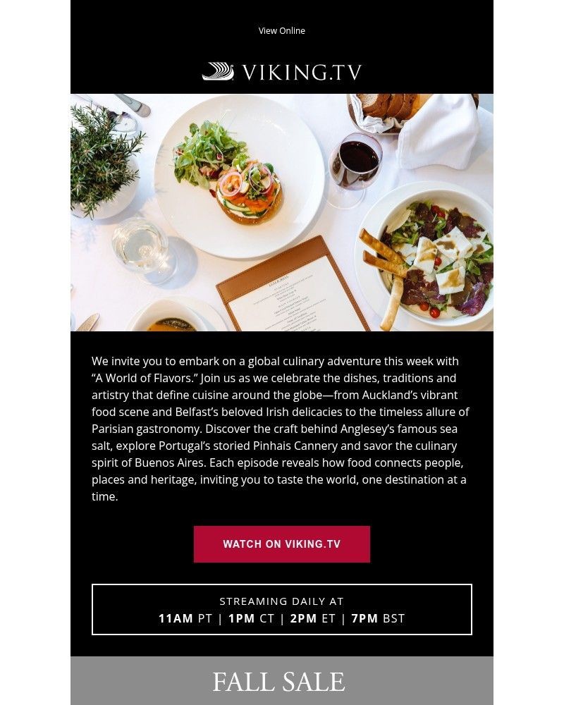 Screenshot of email with subject /media/emails/discover-a-world-of-flavors-on-vikingtv-349a17-cropped-c0358cd1.jpg
