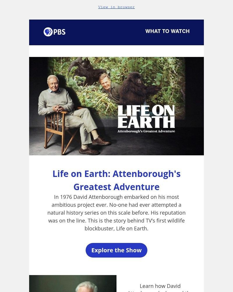 Screenshot of email sent to a PBS Newsletter subscriber