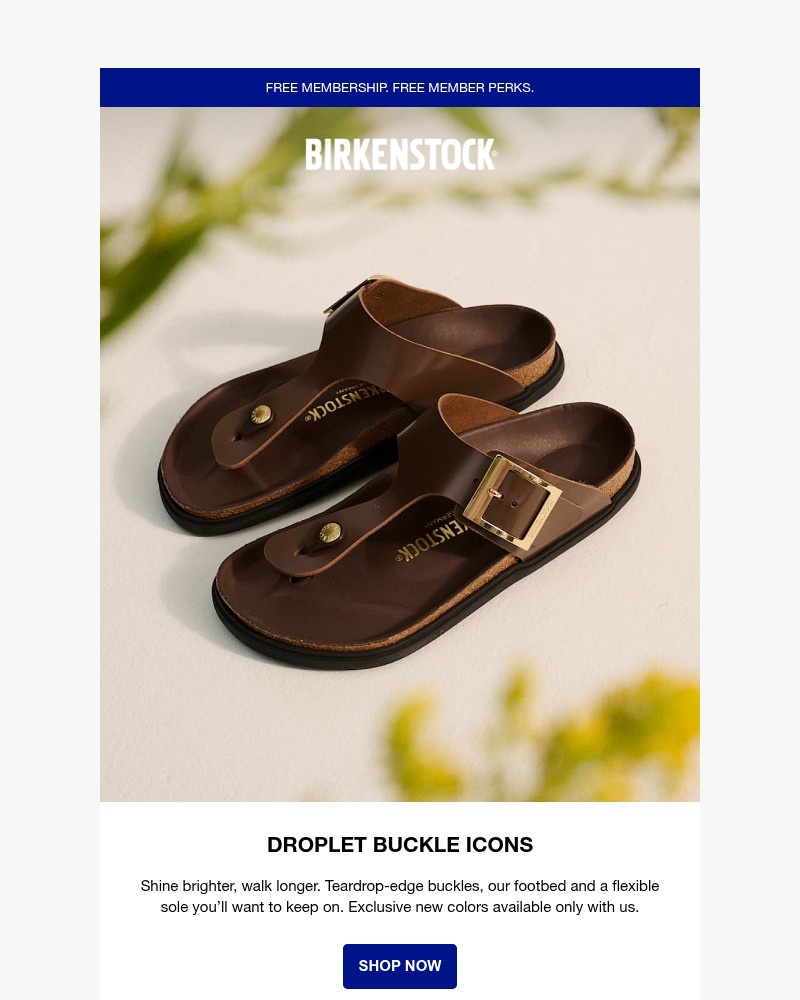Screenshot of email with subject /media/emails/discover-exclusive-droplet-buckle-sandals-af9562-cropped-e183c3fb.jpg