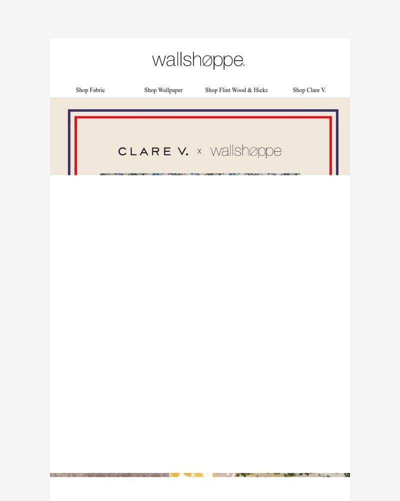 Screenshot of email sent to a Wallshoppe Newsletter subscriber