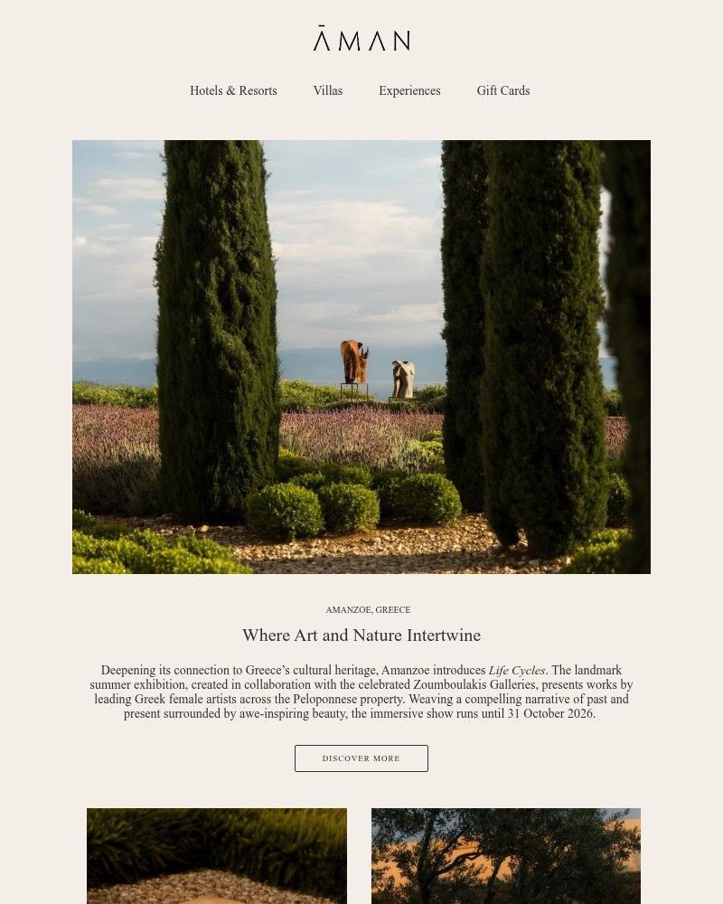 Screenshot of email with subject /media/emails/discover-life-cycles-an-exhibition-at-amanzoe-7eb07b-cropped-527037c7.jpg