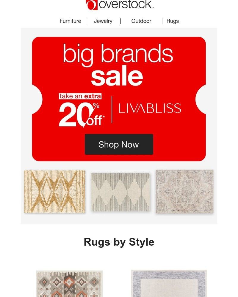 Screenshot of email with subject /media/emails/discover-livabliss-rugs20-off-for-a-limited-time-cb5ce6-cropped-93069e55.jpg