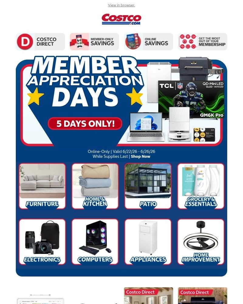 Screenshot of email sent to a Costco Newsletter subscriber