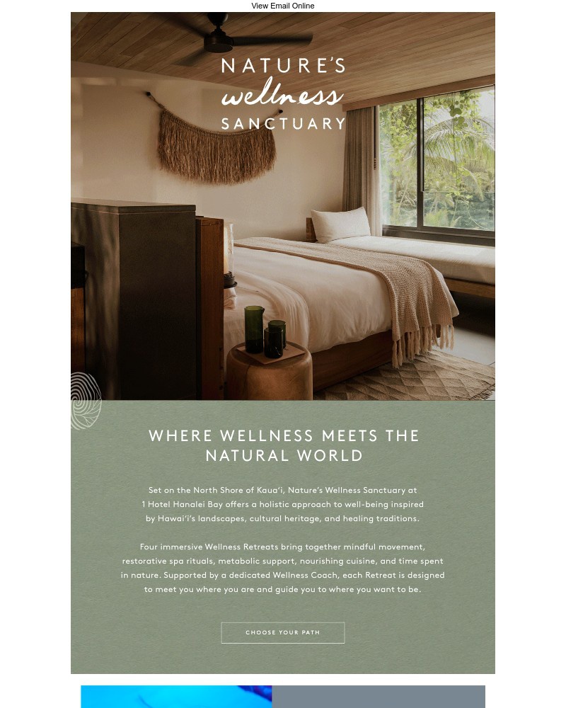 Screenshot of email sent to a 1 Hotels Newsletter subscriber