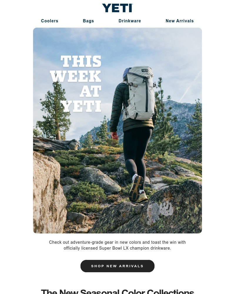 Screenshot of email sent to a Yeti Newsletter subscriber