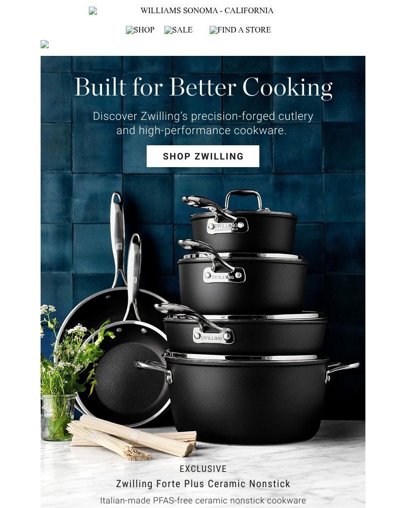 Screenshot of email with subject /media/emails/discover-the-best-of-zwilling-bdbc97-cropped-717d8097.jpg