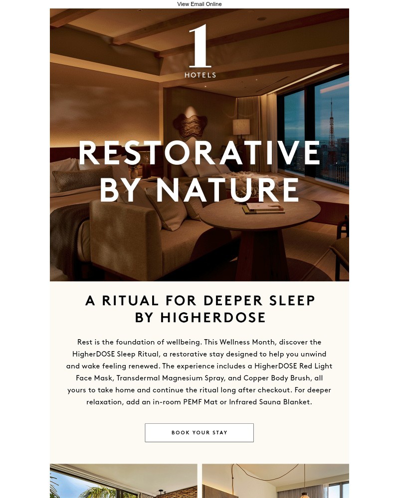Screenshot of email sent to a 1 Hotels Newsletter subscriber