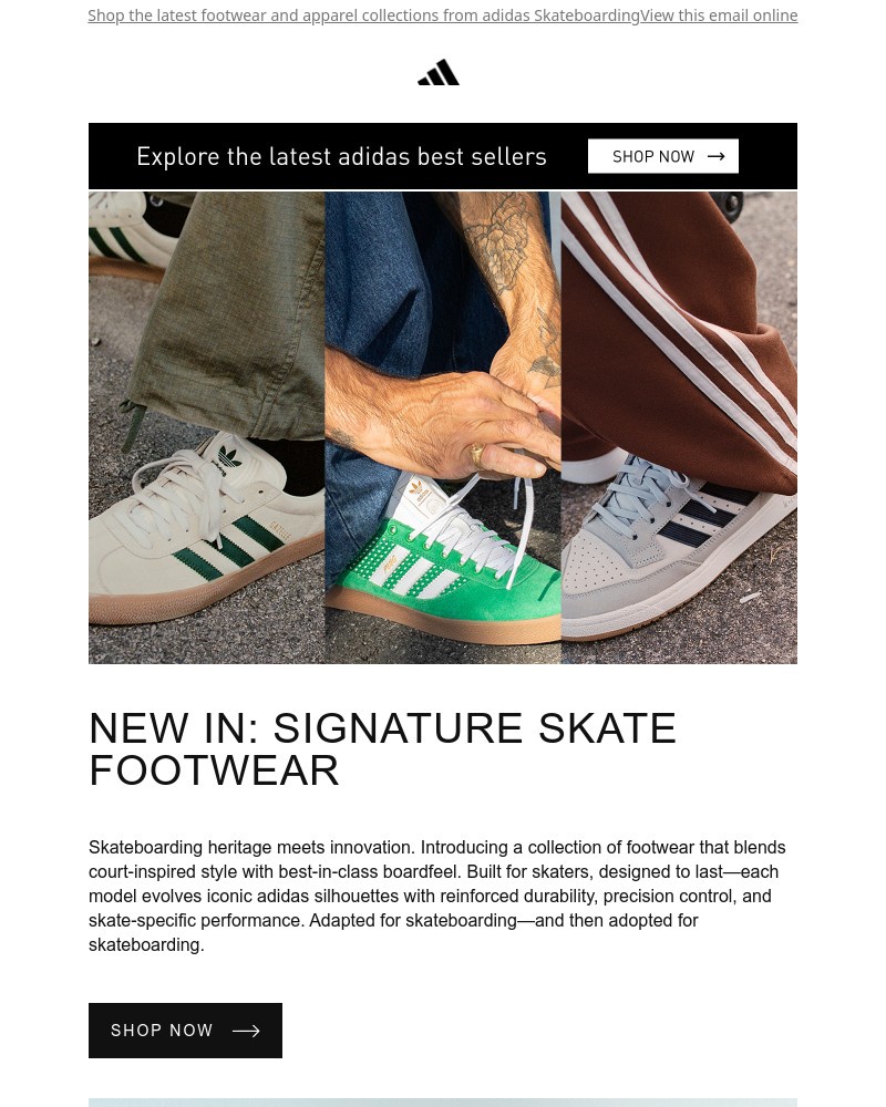 Screenshot of email with subject /media/emails/discover-the-latest-from-adidas-skateboarding-2bb95d-cropped-4dcd8843.jpg