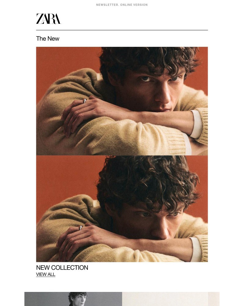Screenshot of email sent to a Zara Newsletter subscriber