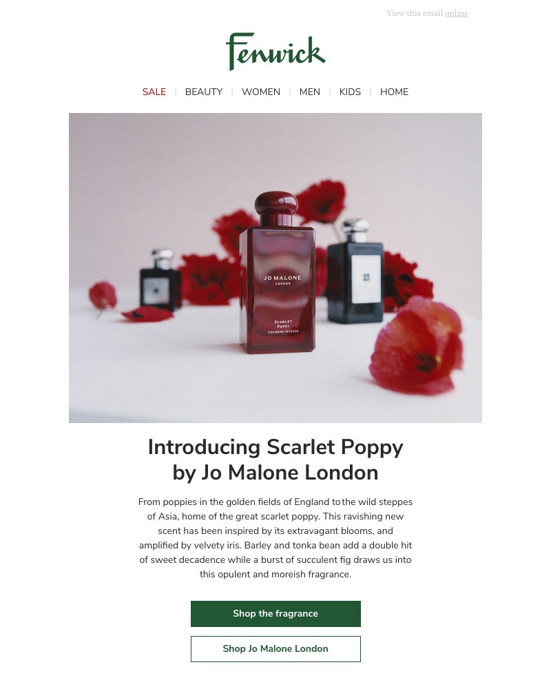 Screenshot of email with subject /media/emails/discover-the-new-fragrance-from-jo-malone-london-90fa63-cropped-02ff5aef.jpg