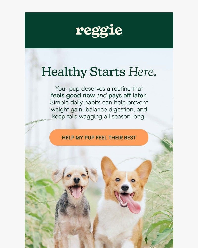 Screenshot of email with subject /media/emails/discover-the-secret-to-happy-dogs-de53c4-cropped-fef2ee14.jpg