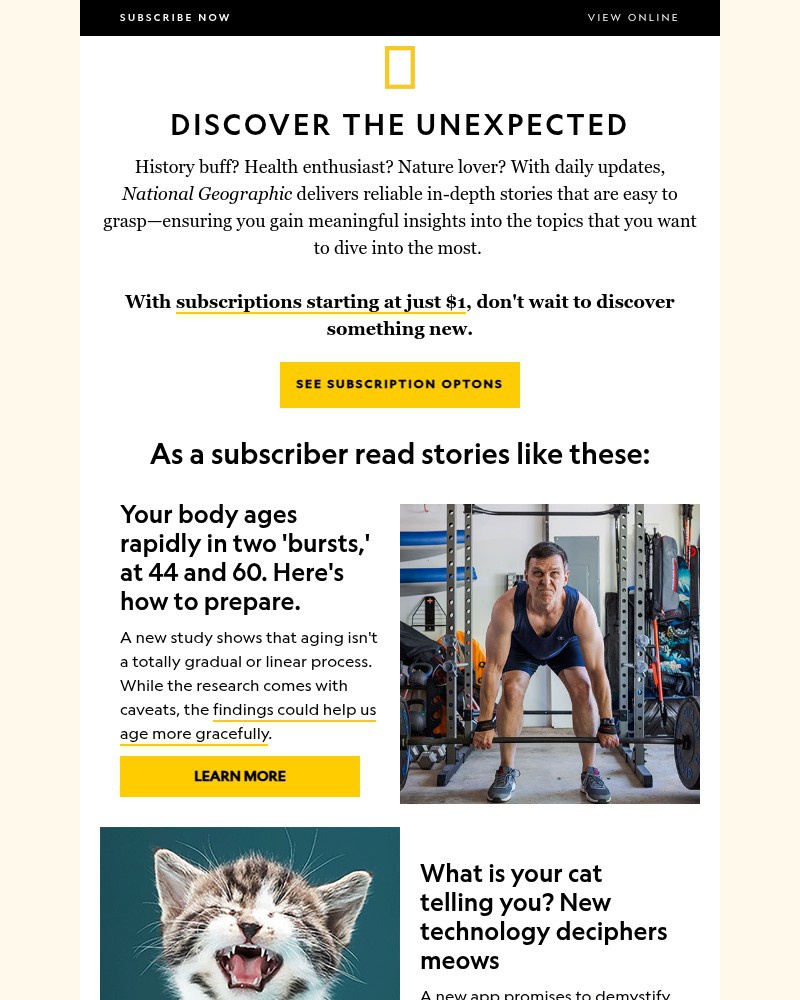 Screenshot of email with subject /media/emails/discover-the-unexpected-subscribe-to-nat-geo-starting-at-just-1month-fcbba2-cropp_Y29TArO.jpg