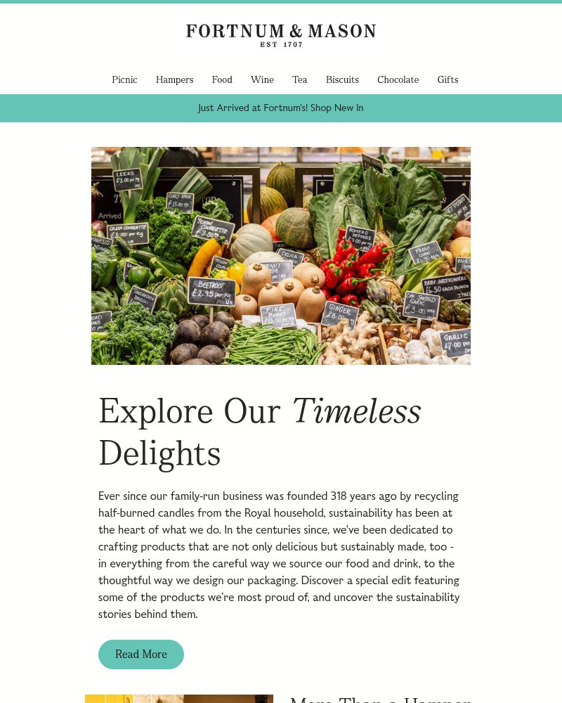 Screenshot of email with subject /media/emails/discover-timeless-fortnums-delights-f3dc46-cropped-e08a513d.jpg