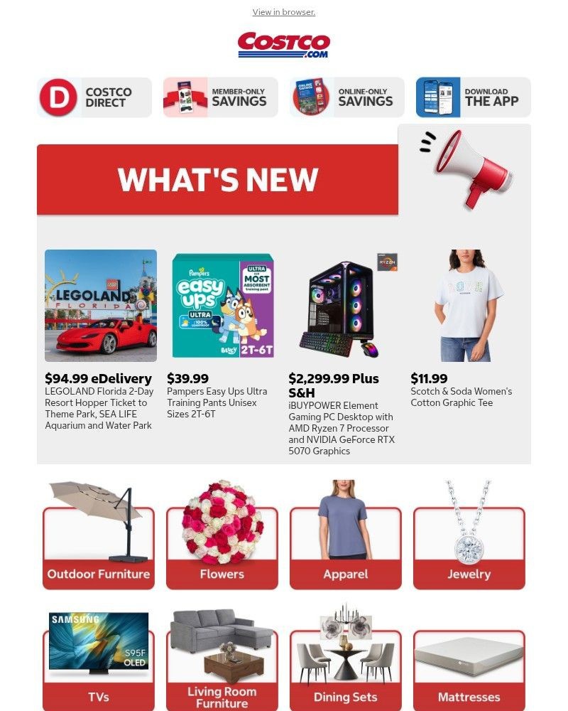 Screenshot of email with subject /media/emails/discover-whats-new-at-costcocom-cf51ca-cropped-bdcb92ed.jpg