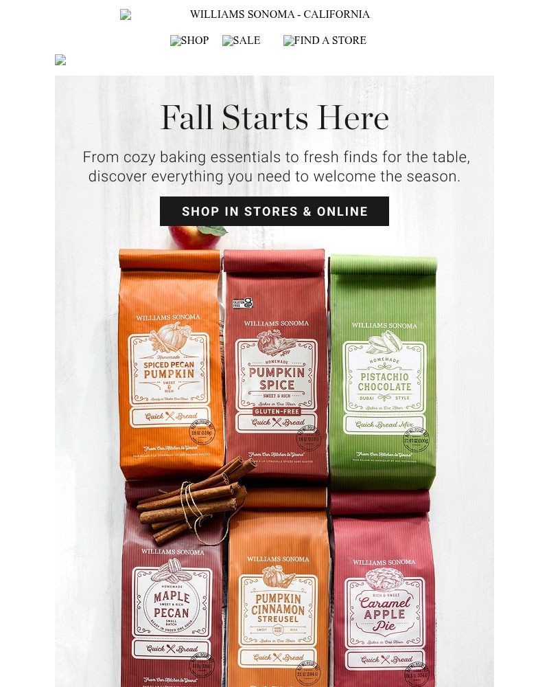 Screenshot of email with subject /media/emails/discover-whats-new-for-fall-9446db-cropped-3273dcfe.jpg