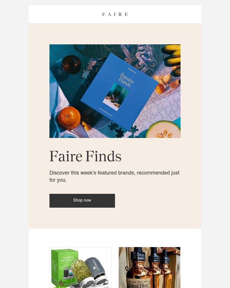 Screenshot of email sent to a Faire Newsletter subscriber