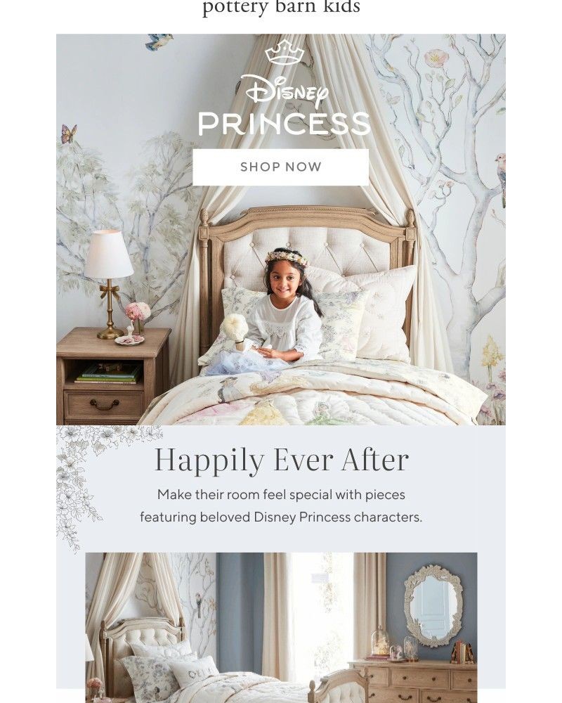Screenshot of email with subject /media/emails/disney-princess-collection-happily-ever-after-472583-cropped-cabf8ed4.jpg