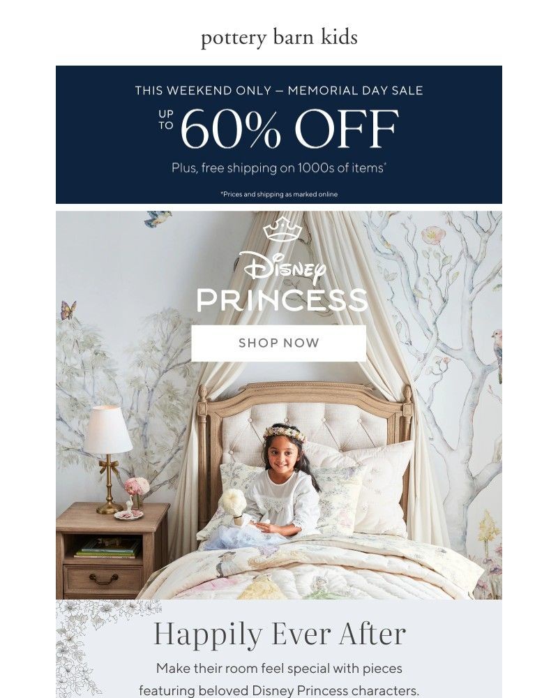 Screenshot of email with subject /media/emails/disney-princess-collection-happily-ever-after-memorial-day-sale-ends-tomorrow-618_NFr2dRs.jpg