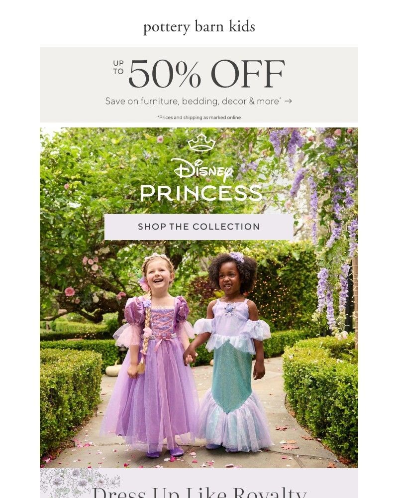 Screenshot of email with subject /media/emails/disney-princess-costumes-for-a-magical-halloween-up-to-50-off-sale-26d120-cropped_uHy9JYJ.jpg