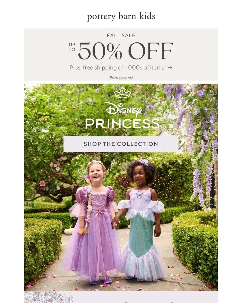Screenshot of email with subject /media/emails/disney-princess-x-pottery-barn-kids-halloween-collection-a2cc49-cropped-e2095d45.jpg